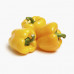 Capsicum Yellow Qatar 1Kg (Approx)